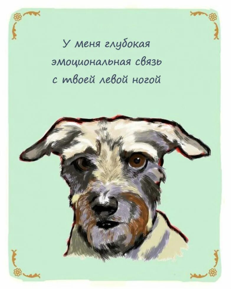 мысли собаки прикол. мышление собак. мышление собак. мысли собаки прикол. смешные мысли собак.