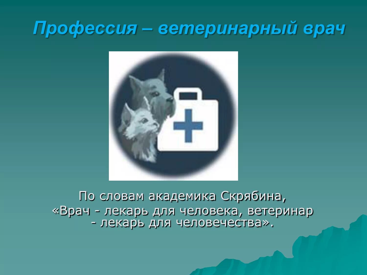 Один день в профессии ветеринар. Профессия ветеринар презентация. Профессия ветеринарный врач презентация. Профессия ветврач презентация. Цитаты ветеринарных врачей.