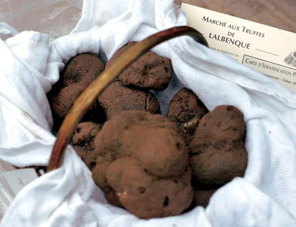 How to get truffle worms fisch