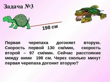 Скорость черепахи километров в час
