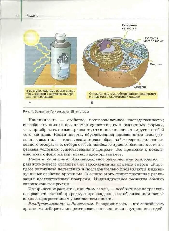 Общая биология 11 класс сивоглазов. Биология 10-11 Агафонова Захаров Сивоглазов. Учебник по биологии 10 класс Агафонова Сивоглазов. Общая биология 10 класс Сивоглазов Агафонова Захарова. Сивоглазов Агафонова Захарова биология 11 класс.