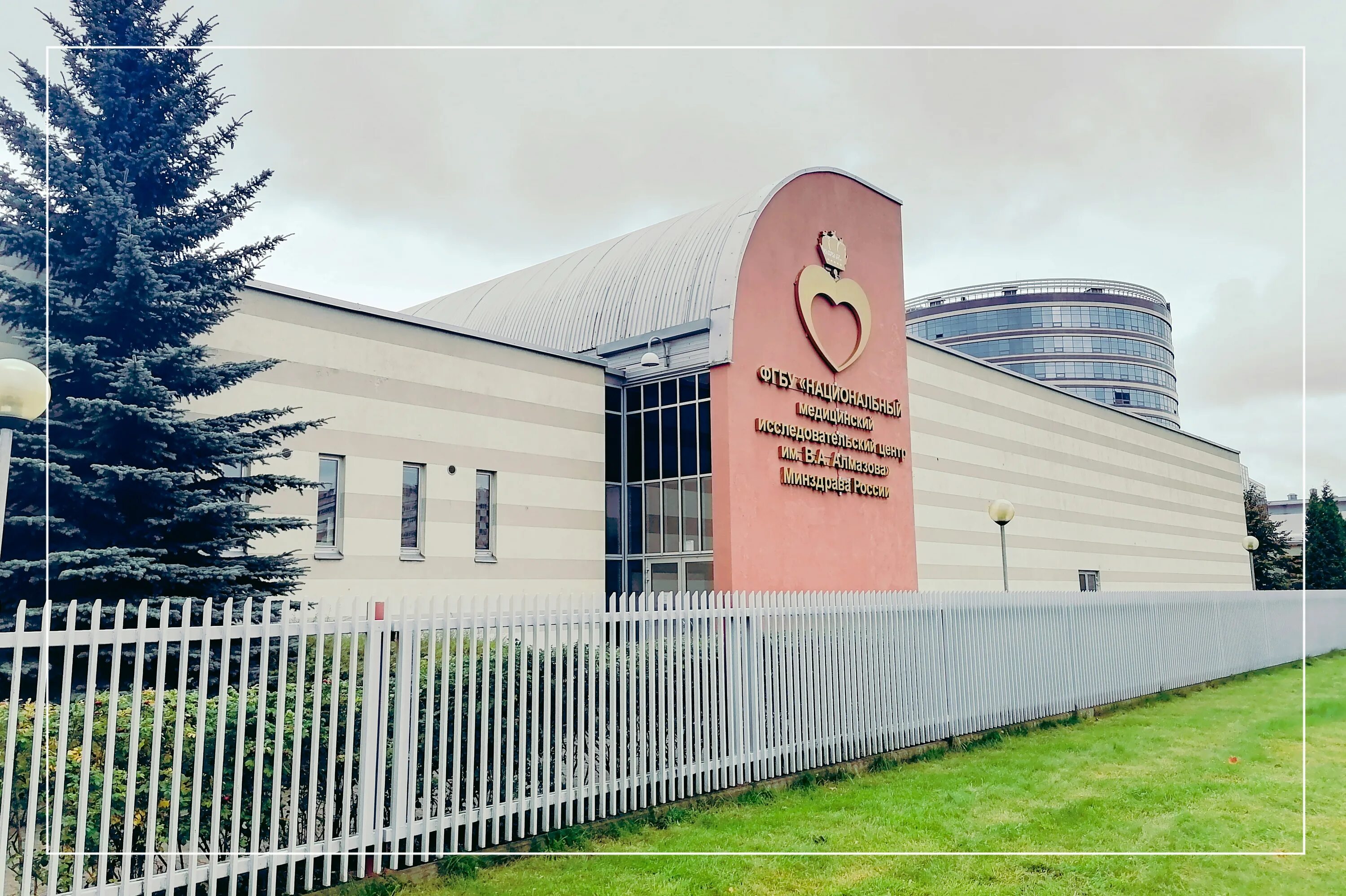 Мед университет алмазова. Академия алмазова санкт-петербург. Университет алмазова спб. Больница алмазова санкт-петербург. Национальный медицинский исследовательский центр имени в а алмазова.