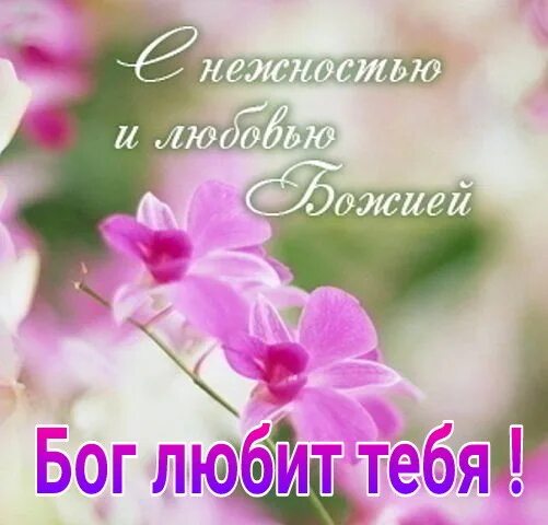 Доброго дня и хорошего настроения божьего благословения