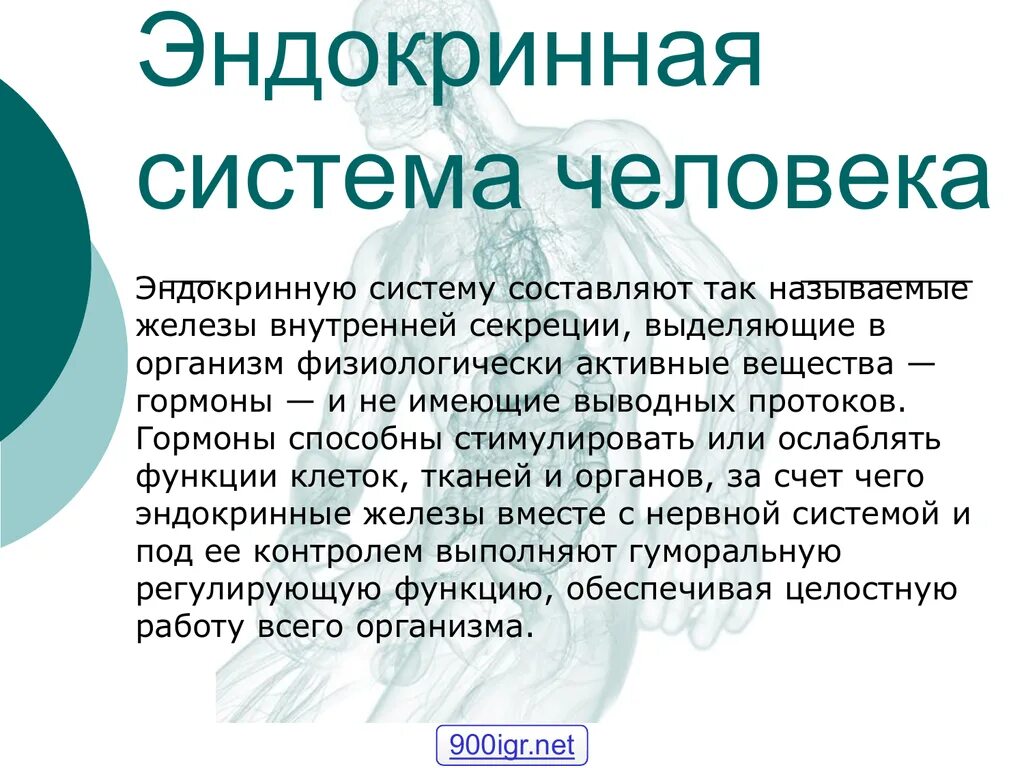 Эндокринная система. Эндокринная система система человека. Эндокринная система человека гормоны. Эндокринная система этт.