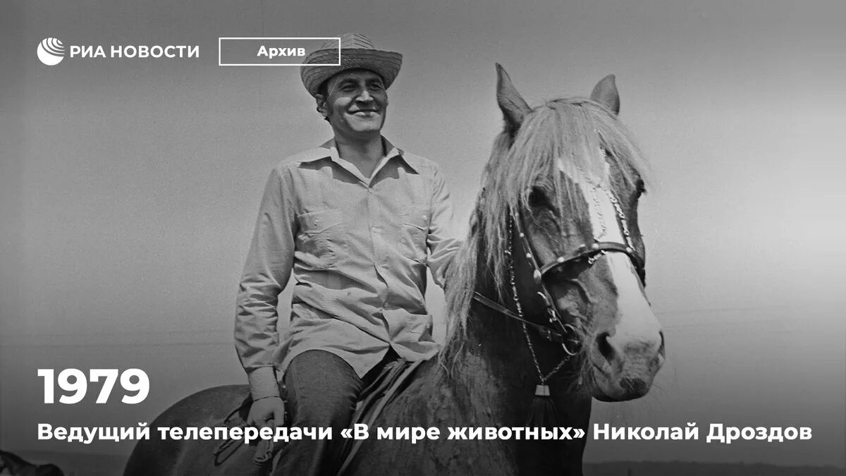 Включи программу в мире животных. В мире животных 1968. згуриди в мире животных. в мире животных телепередача 1970. в мире животных телепередача 1968 год.