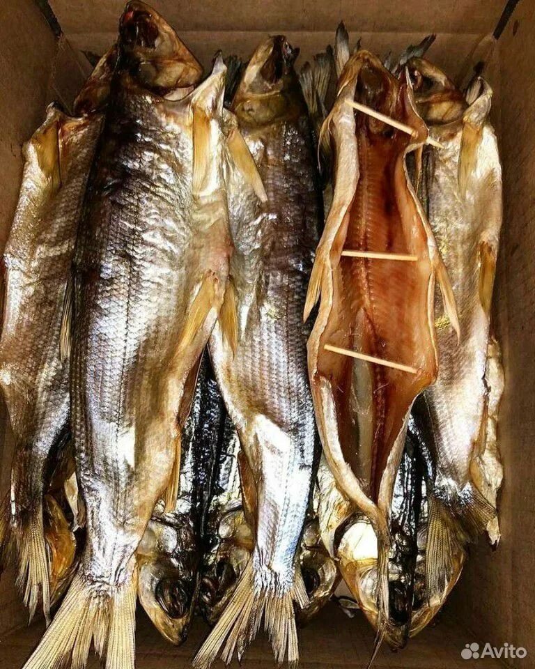 Сиг рыба байкал. Красный омуль. Кижуч на чукотке. Красный омуль. Озерный сиг.