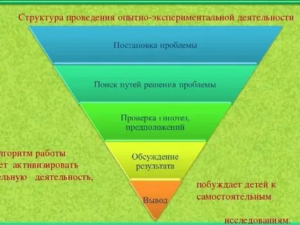 Структура опыта