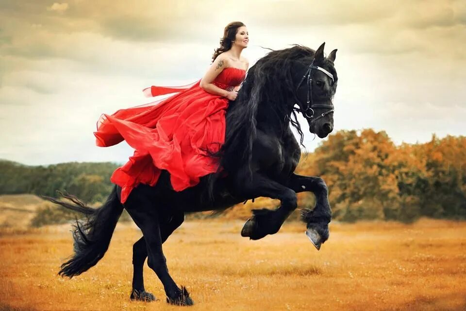 Брюнетка скачет. Девушка на коне. Девушка в Красном платье на лошади. Фотосессия в красивом платье с лошадью. Девушка на черной лошади.