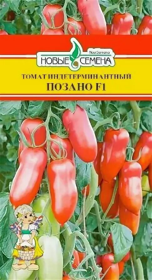 томат позано характеристика. томат марцано f1 (river seeds). позано томат характеристики отзывы фото. томат позано сады россии. позано томат характеристики отзывы фото.