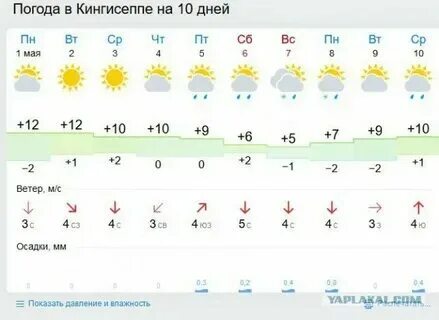 Погода новинка ленинградской на неделю