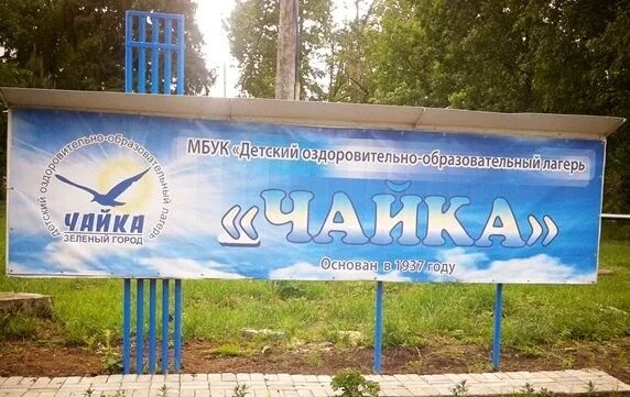 Дол Чайка зеленый город Нижегородская область. Детский оздоровительный лагерь Чайка. Лагерь Чайка Нижегородская область зеленый город 2022. Чайка детский лагерь Нижегородская область. Сайт нижегородской чайки