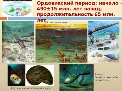 Эра расцвета рыб