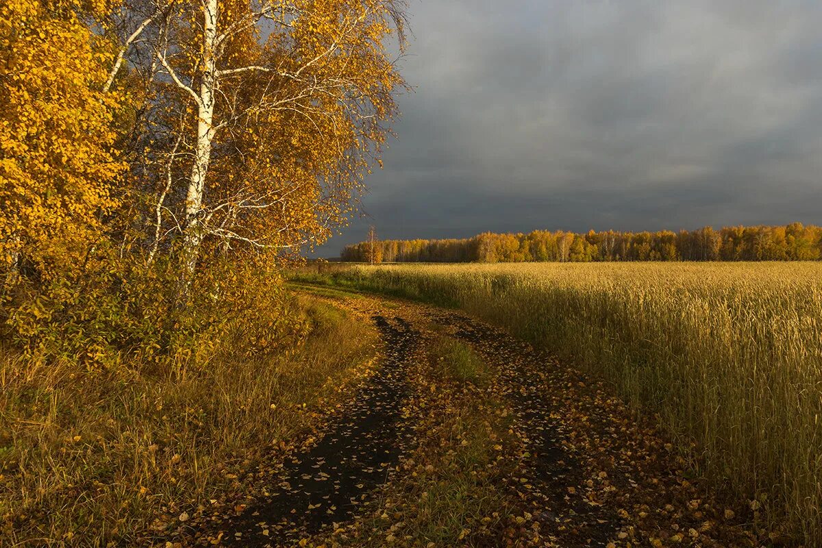 Родной край осенью. Природа нашего края. Казахстан природа осень. Природа нашего края осенью.