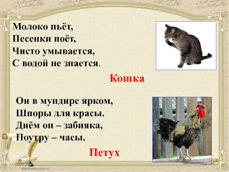 Молоко пьет песенки поет чисто умывается а с водой не знается. Молоко пьет песенки поет чисто. Загадка молоко пьет песенки поет. Мохнатенькая усатенькая молоко пьет песенки поет.