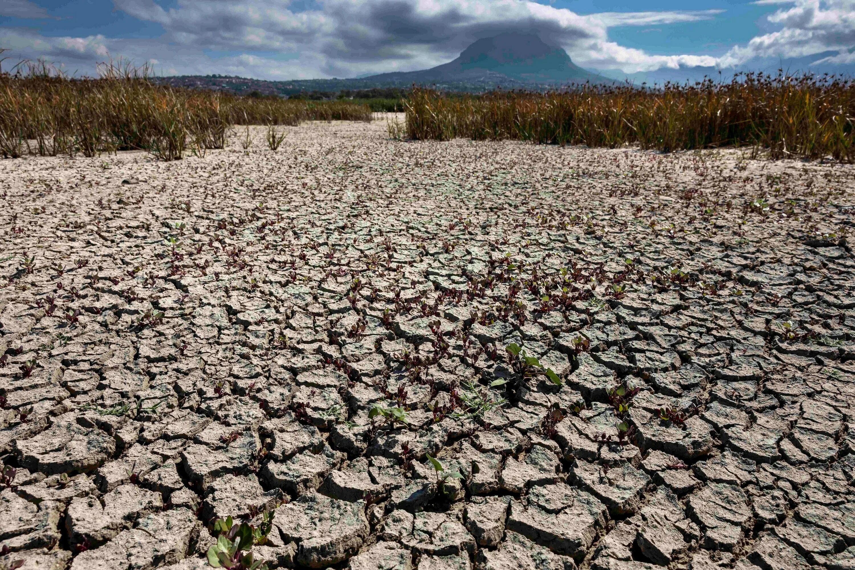 Засуха в городе. Намакваленд ЮАР засуха. Capetown Water crisis Day Zero. Drought Impact on Wool.