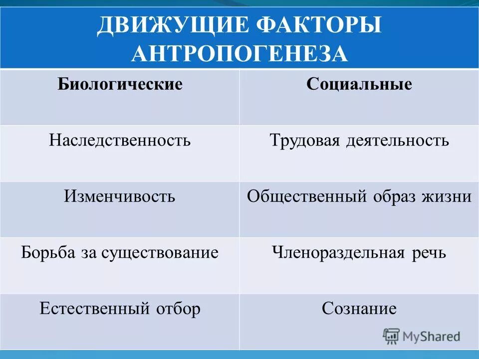 Движущие силы антропогенеза