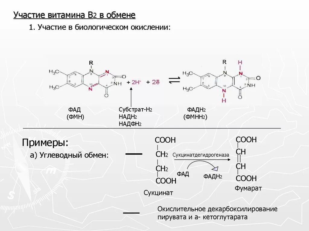 Никотин биохимия. Витамин в5 формула биохимия. Сукцинат ФАД фумарат фадн2. ФАД И ФМН биохимия. Биохимическая реакция витамина в12.