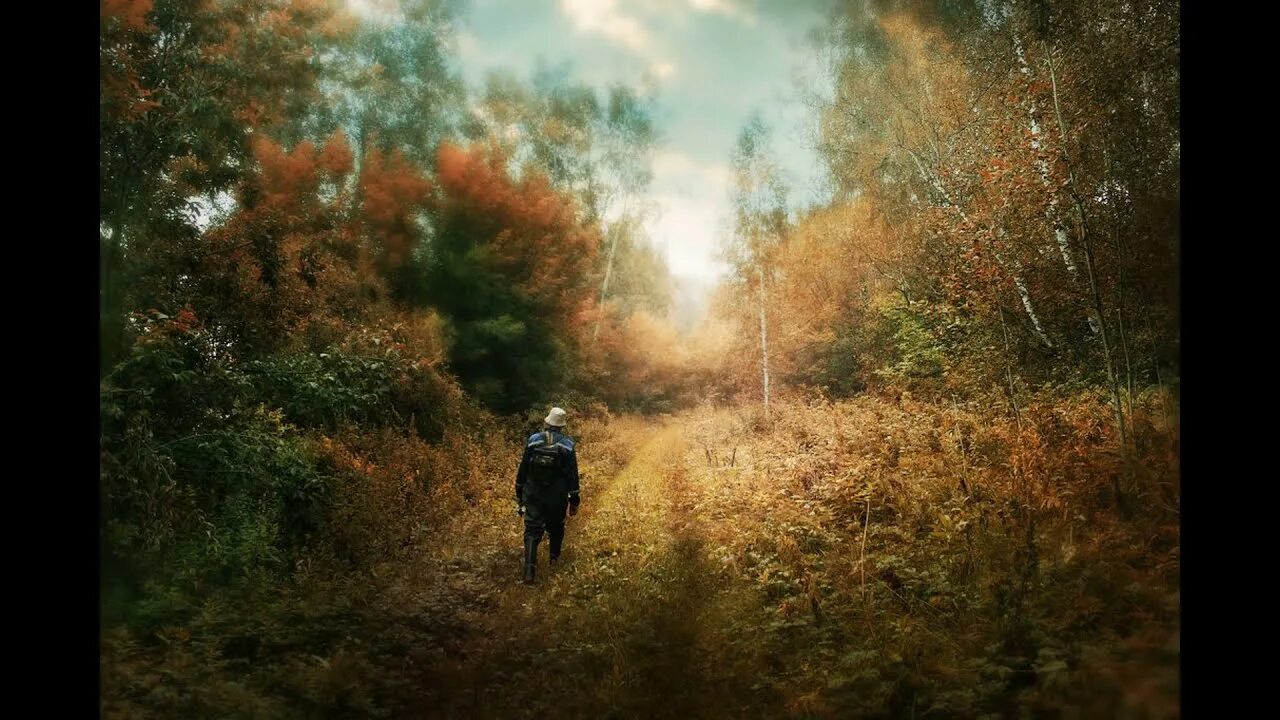 Брожу по осеннему лесу. Странник. Путник в лесу. Странник в лесу. Путник на дороге.