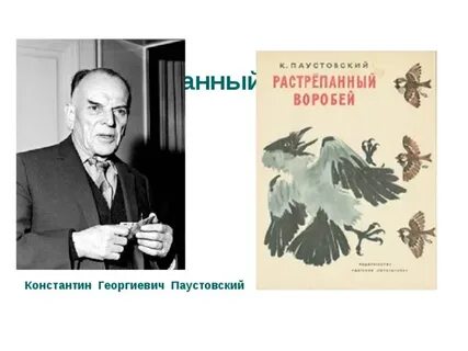Пересказать растрепанный воробей от лица воробья