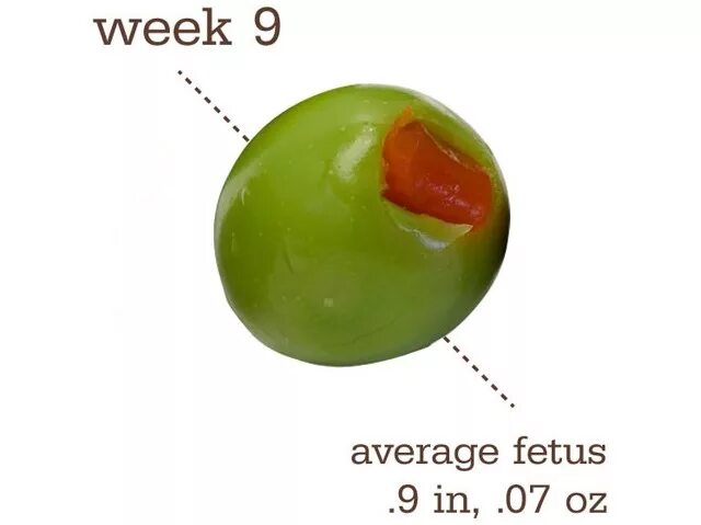 Размер плода фруктами. Размер плода фрукты. Фрукты по неделям беременности. 9 Неделя беременности размер плода сравнение с фруктами.