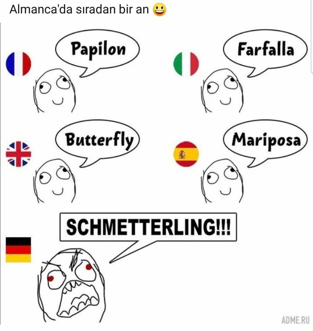 Бабочка по немецки. Бабочка на разных языках. Бабочка на разных языках и на немецком. Бабочка по немецки Мем.