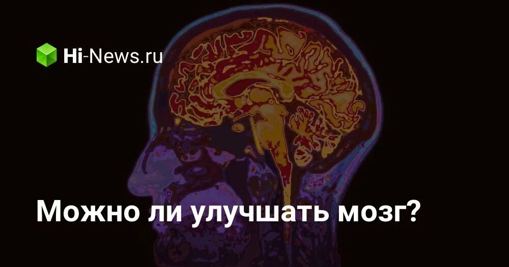 Почему без мозгов. Зачем мозги в Министерстве магии. Можно ли развить мозг после 30.