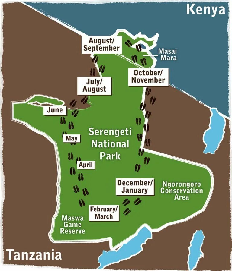 Схемы национального парка. План парка Серенгети в Танзании. Национальный парк Серенгети план парка. Национальный парк Серенгети схема. План национального парка в Танзании.