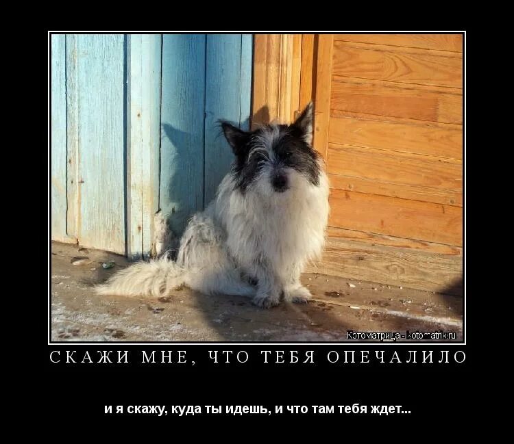 я вижу тупых людей. даже не знаю с чего начать опечален. даже не знаю с чего начать опечален. даже не знаю с чего начать опечален. приколы про леонида.