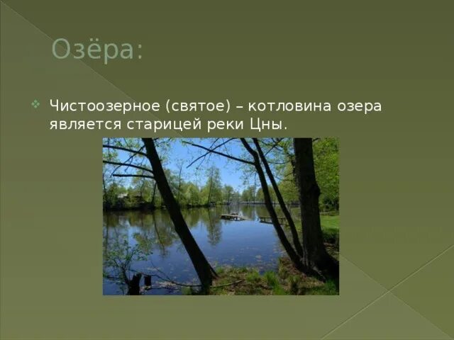 Символом чего является озеро. Чистоозерное озеро. озеро чистоозерное тамбов. озеро чистоозерное тамбовское лесничество. озеро чистоозерное тамбов рыбалка.