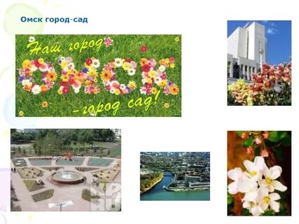Омск город сад