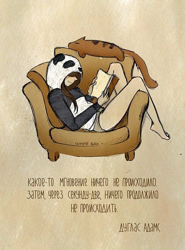 Wait box. Девочка панда и кот барсик white box. white box девочка панда. white box арты. девушка панда с котом.