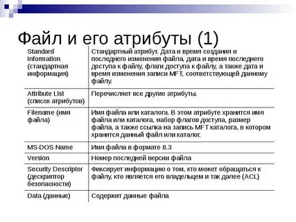 Атрибуты файла примеры