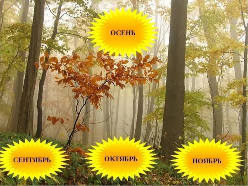3 месяца сентябрь октябрь ноябрь. Название осенних месяцев. осенние месяцы октябрь. сентябрь месяц. октябрь название месяца.