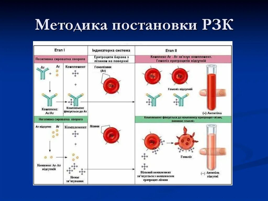 Рск дист. Реакция связывания комплемента микробиология. Реакция связывания комплемента РСК. Реакция связывания комплемента механизм. Реакция связывания комплемента РСК микробиология.