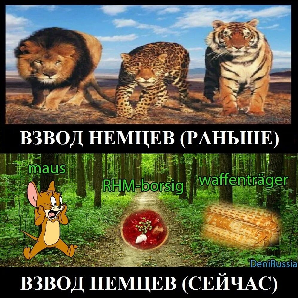 День сержанта. Как найти игрока по нику в блице. Ищем взвод. Ищем взвод. Ищем взвод.