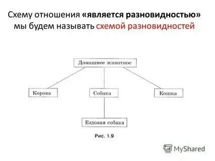 Что является разновидностью