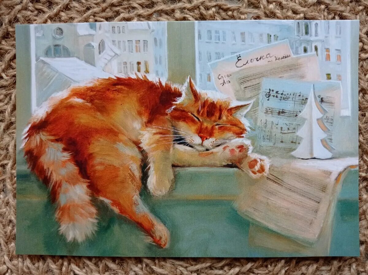 Дайте картинок кошек