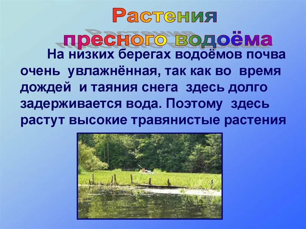 Подготовь рассказ о каком нибудь сообществе водоем. Рассказ о природном сообществе. Жизнь водоемов 4 класс. Водоемы окружающий мир. Рассказать о водоеме.
