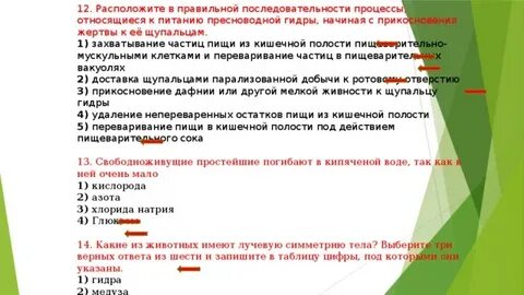 Установите последовательность этапов питания пресноводной гидры