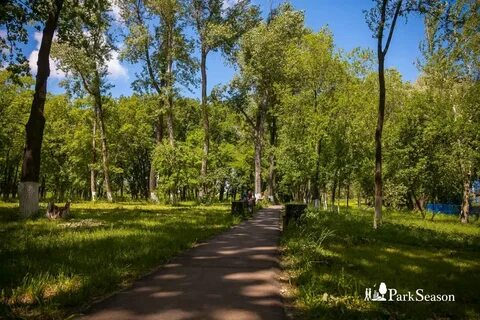 Роща самара