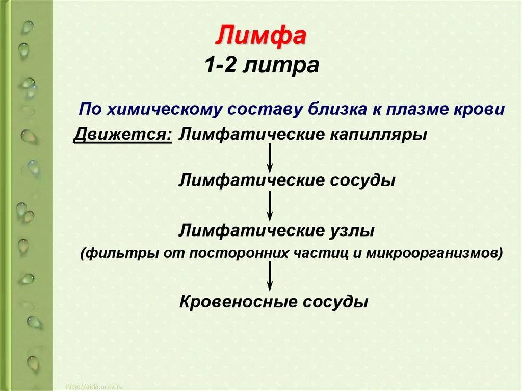 Лимфа включает. Основные компоненты лимфы. Состав лимфы таблица. Лимфа функции кратко. Лимфа ее химический состав и функции.