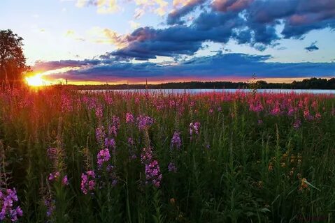 Красота российских