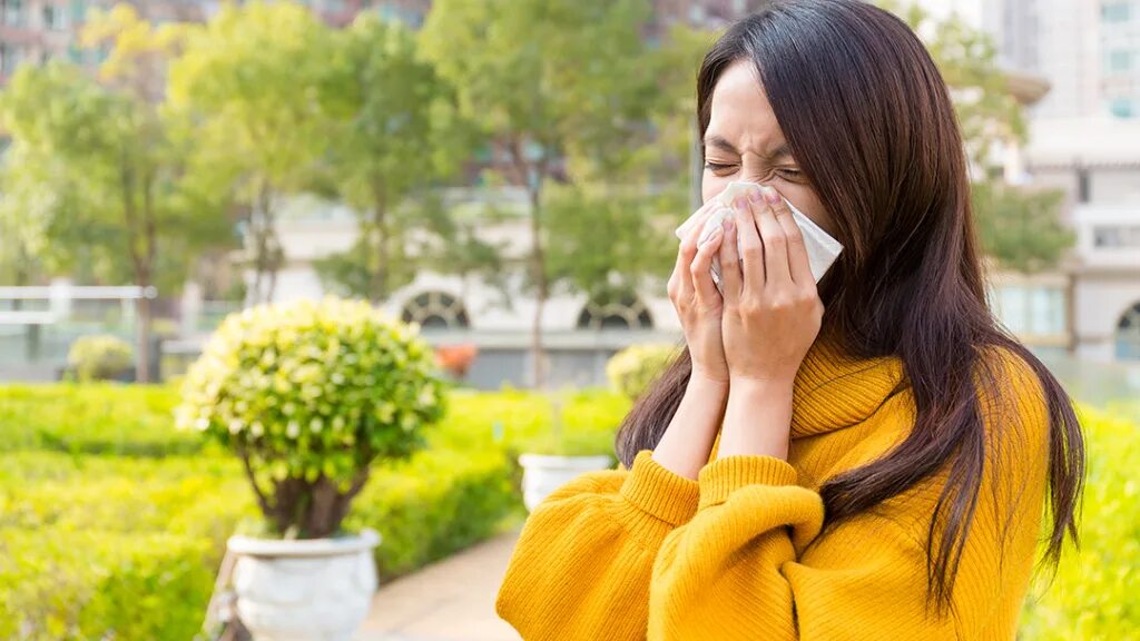 Kairiki bear вокалоид. Девушка аллергия. Сезонная аллергия. People allergy. Kairiki bear people allergy.