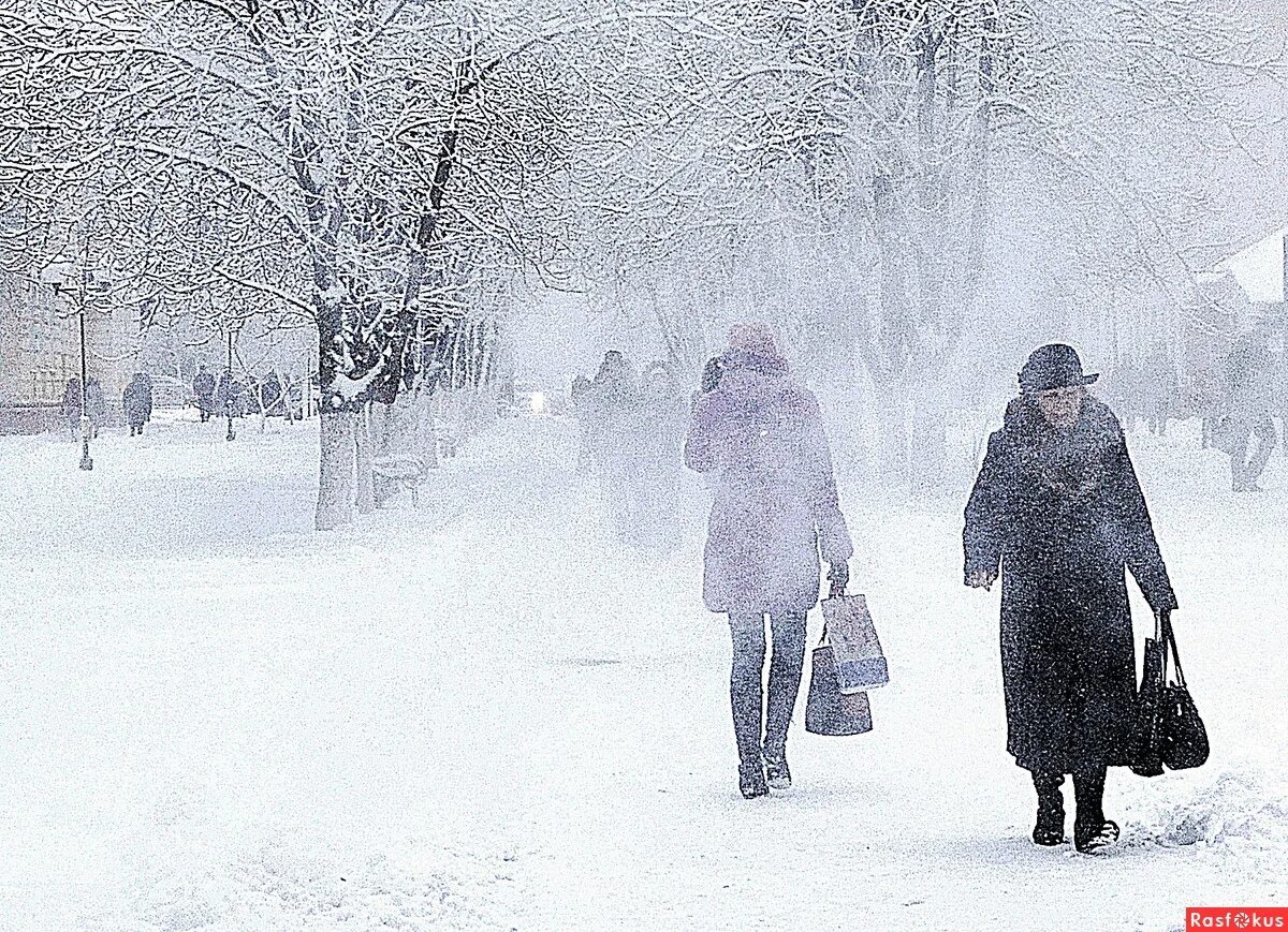 Ветер зимой как называется