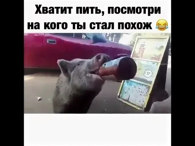 Не хватало пил