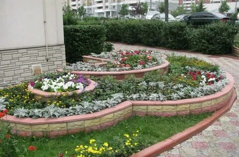 Полукруглом цветнике