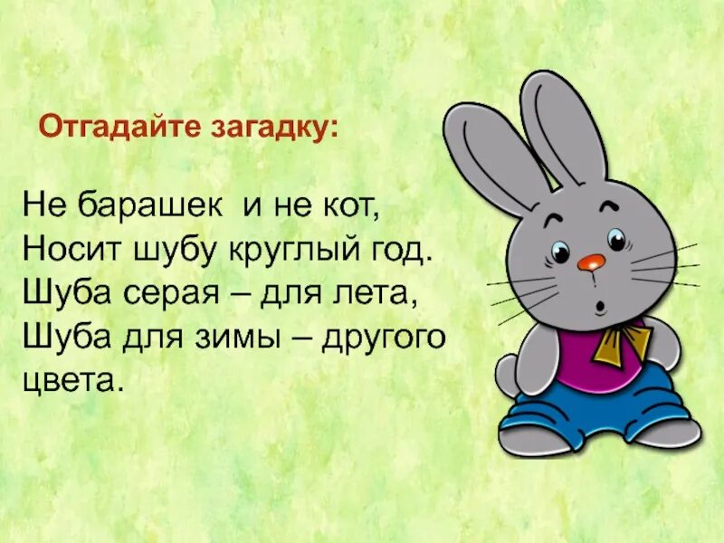 Короче зайка. Загадка про зайца для детей. Загадка про зайца для детей 5-6 лет. Загадка про зайца для дошкольников. Загадка про зайчика для детей.