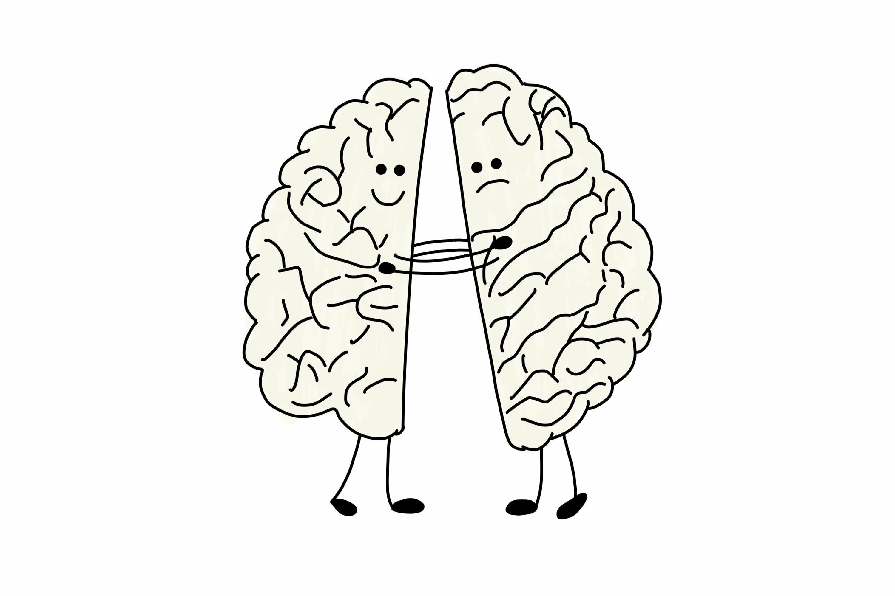 Руки развивают мозг. Полушария мозга. Два полушария мозга. Левое полушарие мозга. Головной мозг 2 полушария.