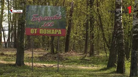 Поезжай к лесу