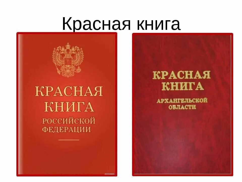 Красная книга России. Красная Клинга. Krassnaya kniqa. Красная книга обложка. Вода красная книга